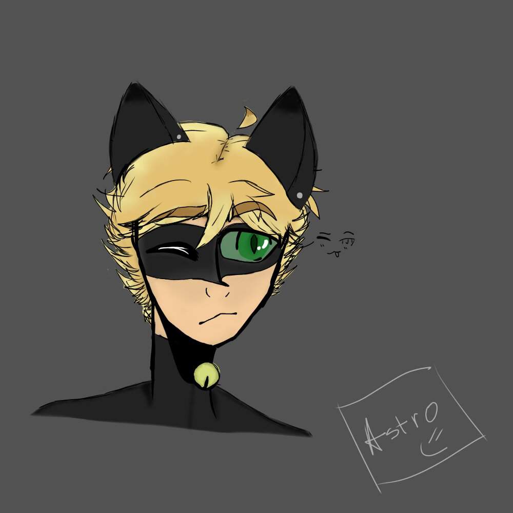 Messy Chat Noir Fanart 