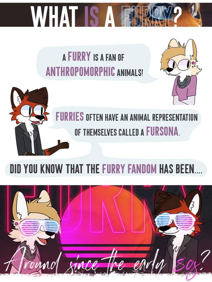 The Fandom Wiki Furry Amino