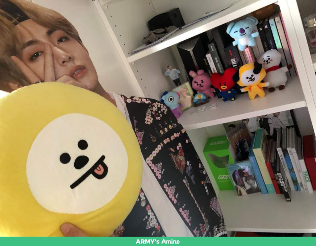 chimmy long body pillow