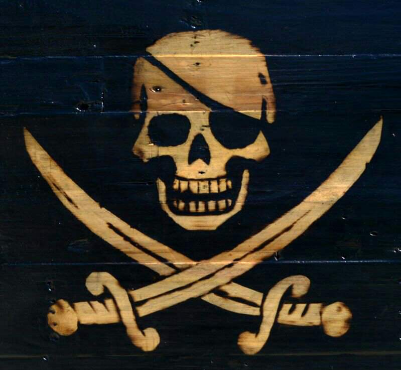 Pirate crews | Wiki | One Piece Open Ocean Amino