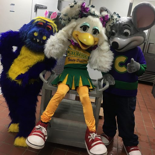 Looney Bird Cec Chuck E Cheeses Amino Amino