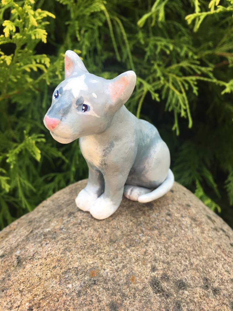 Bluestar (Clay figurine!) | Warriors Amino