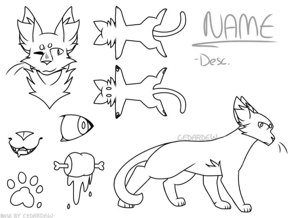 ♡Bases♡ | Wiki | ♤Warrior Cats♤ Amino