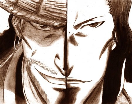 Shunsui Vs Starrk - #FavFight.