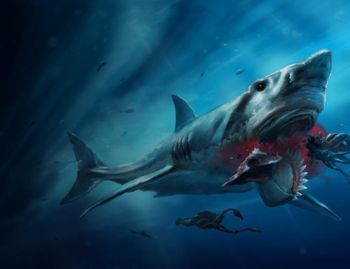 Helicoprion | Wiki | Amino Paleontología Amino