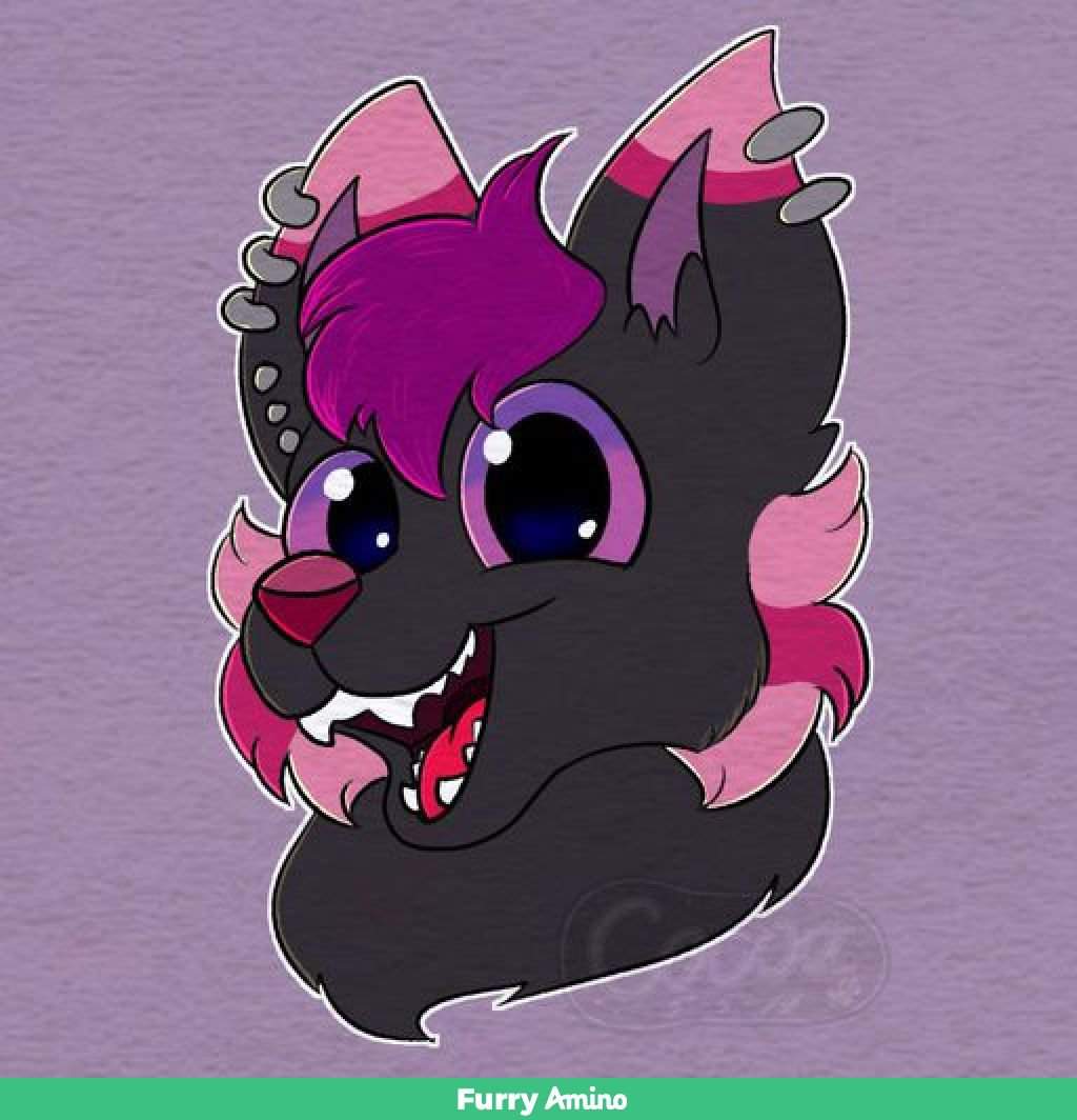 Neo | Wiki | Furry Amino