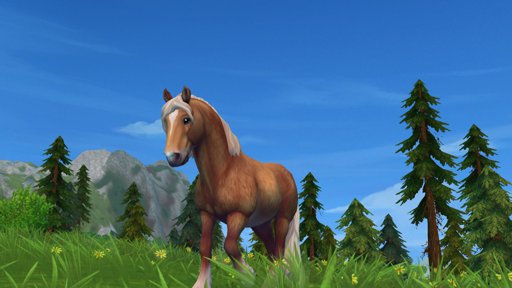 SSO Mustangs | Star Stable Online Amino