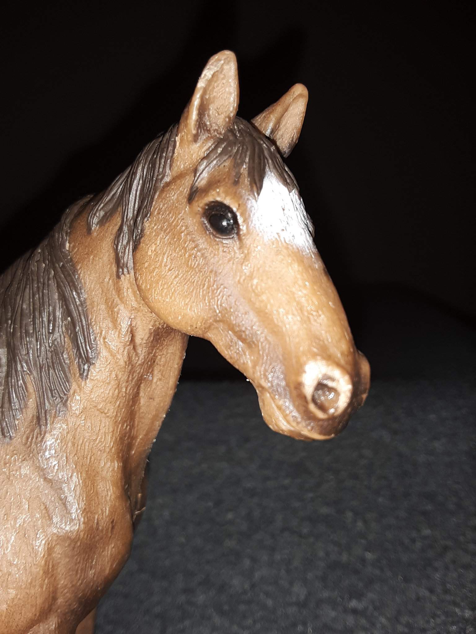 Snickers | Wiki | Schleich Toy Horses Amino