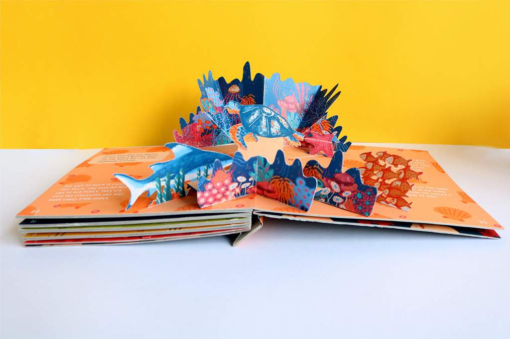 Animal pop up book | Art Amino