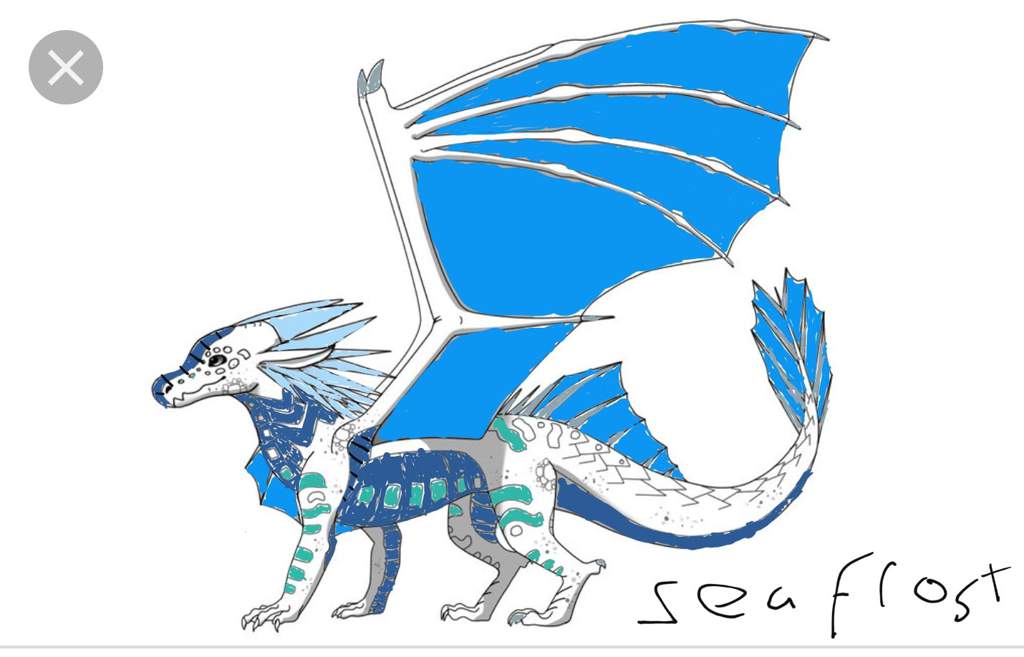 Seawing Nightwing Hybrid Wings Of Fire Amino