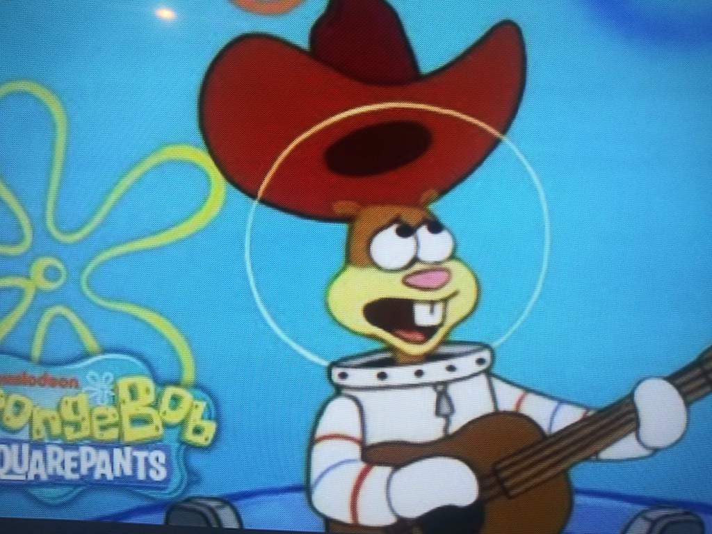 Sandy Texas Song|Spongebob | Wiki | SpongeBob SquarePants Amino