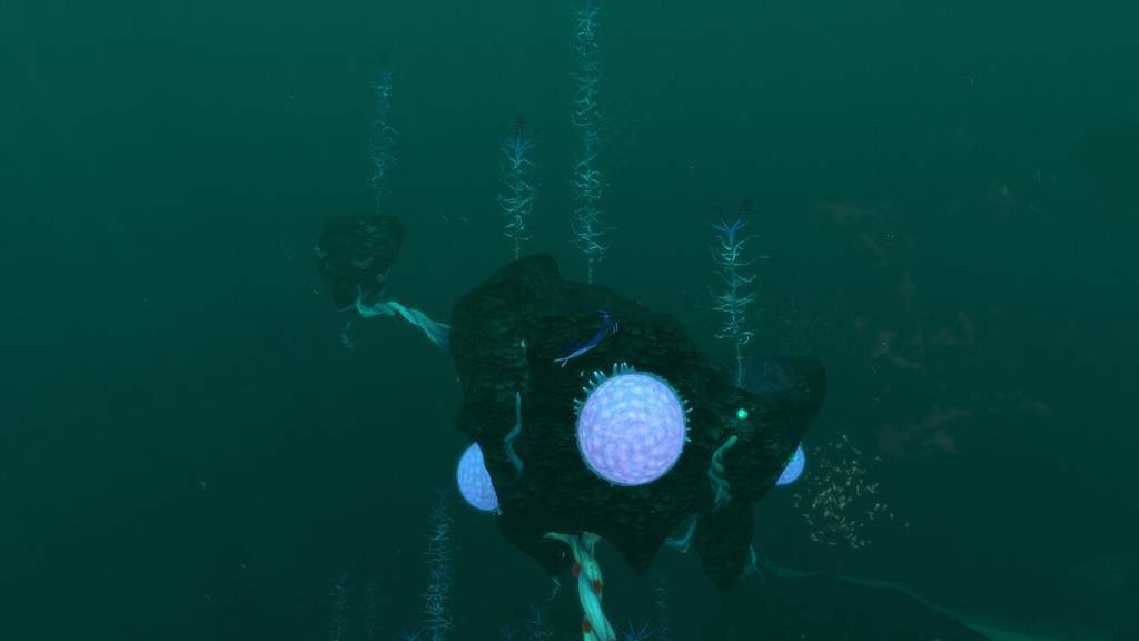 Blood Kelp Zone Wiki Subnautica Amino