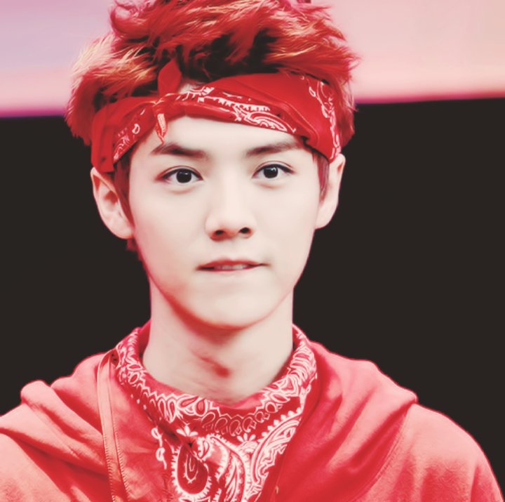 Lu Han | Wiki | 𝗧𝗐𝗂𝗅𝗂𝗀𝗁𝗍 𝗸𝗋𝗉 Amino