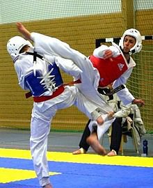 Taekwondo | Wiki | Tekken Amino Amino