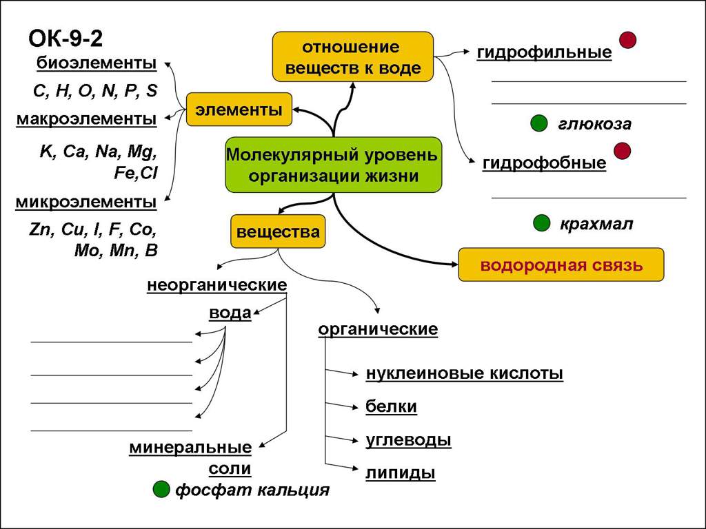 Интеллект карта эволюция органического мира