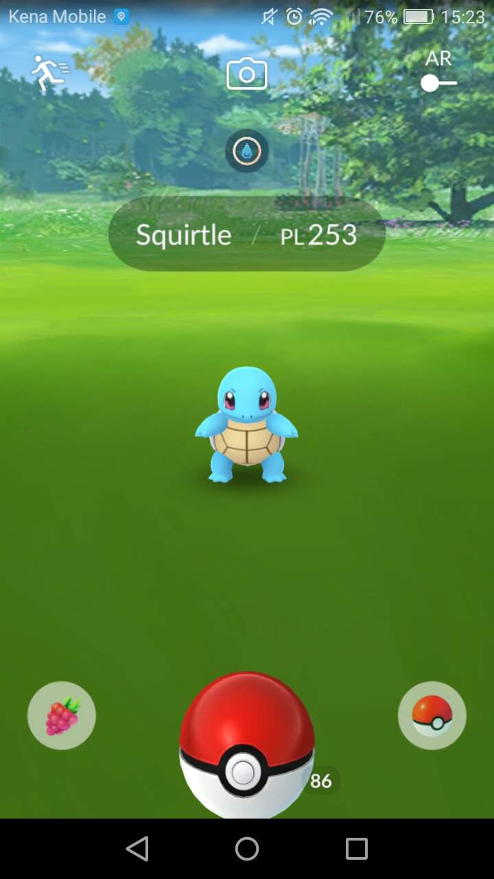 Squirtle | Pokemon GO Amino