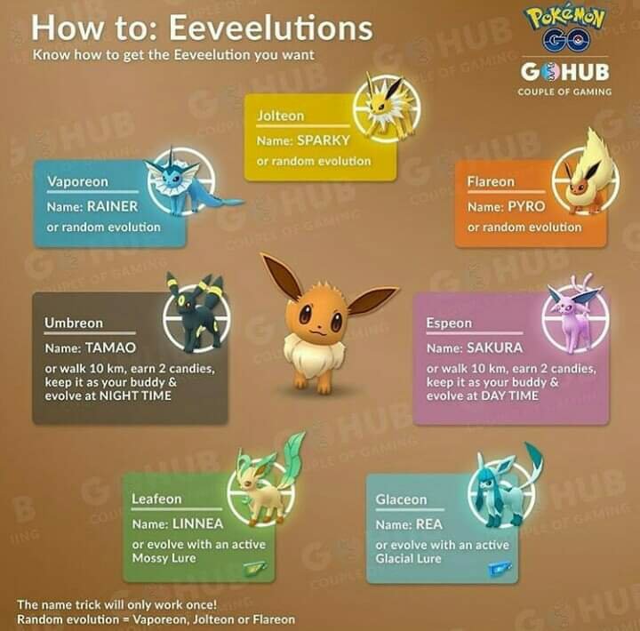 Help for eevee | Pokémon Amino