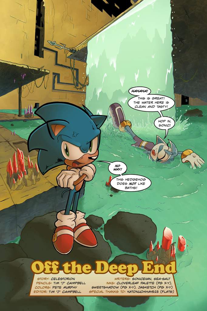 Image result for sonic legacy issue 3