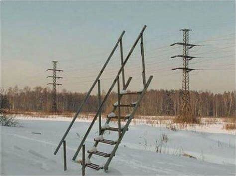 Random Stairs In The Middle Of The Woods