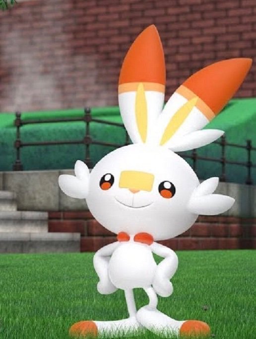 Scorbunny | Wiki | Pokémon Amino