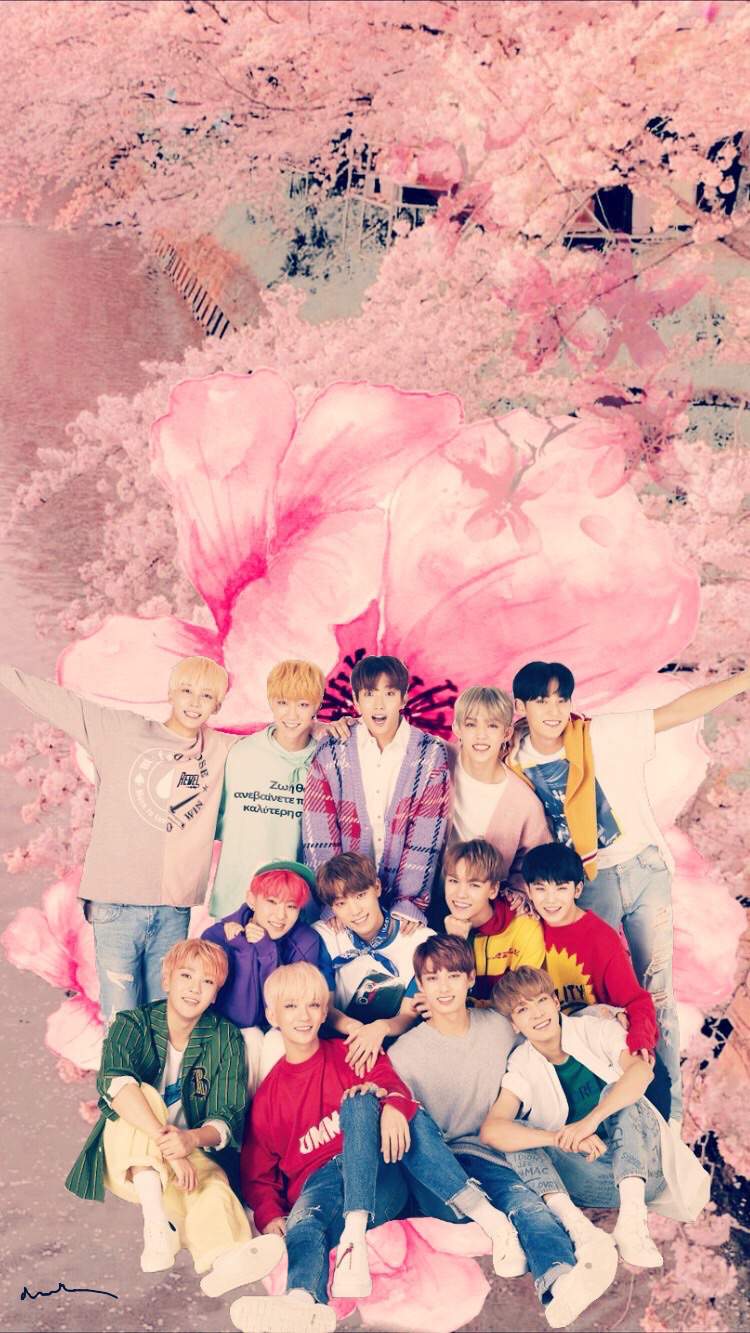 Seventeen cherry blossom wallpaper.... | Carat 캐럿 Amino