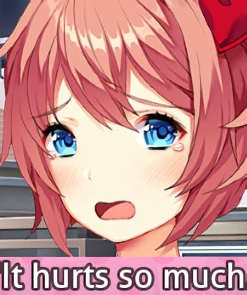 No bulli sayori pls | Doki Doki Literature Club! Amino