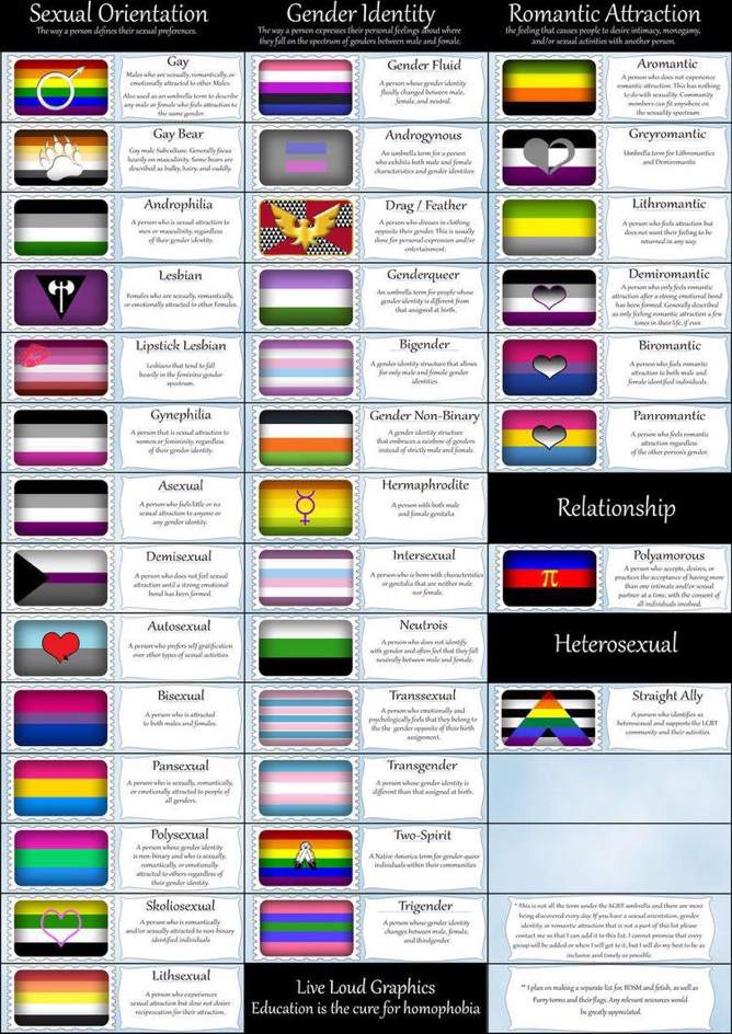 Pride Flags Meaning | Wiki | LGBT+ Amino