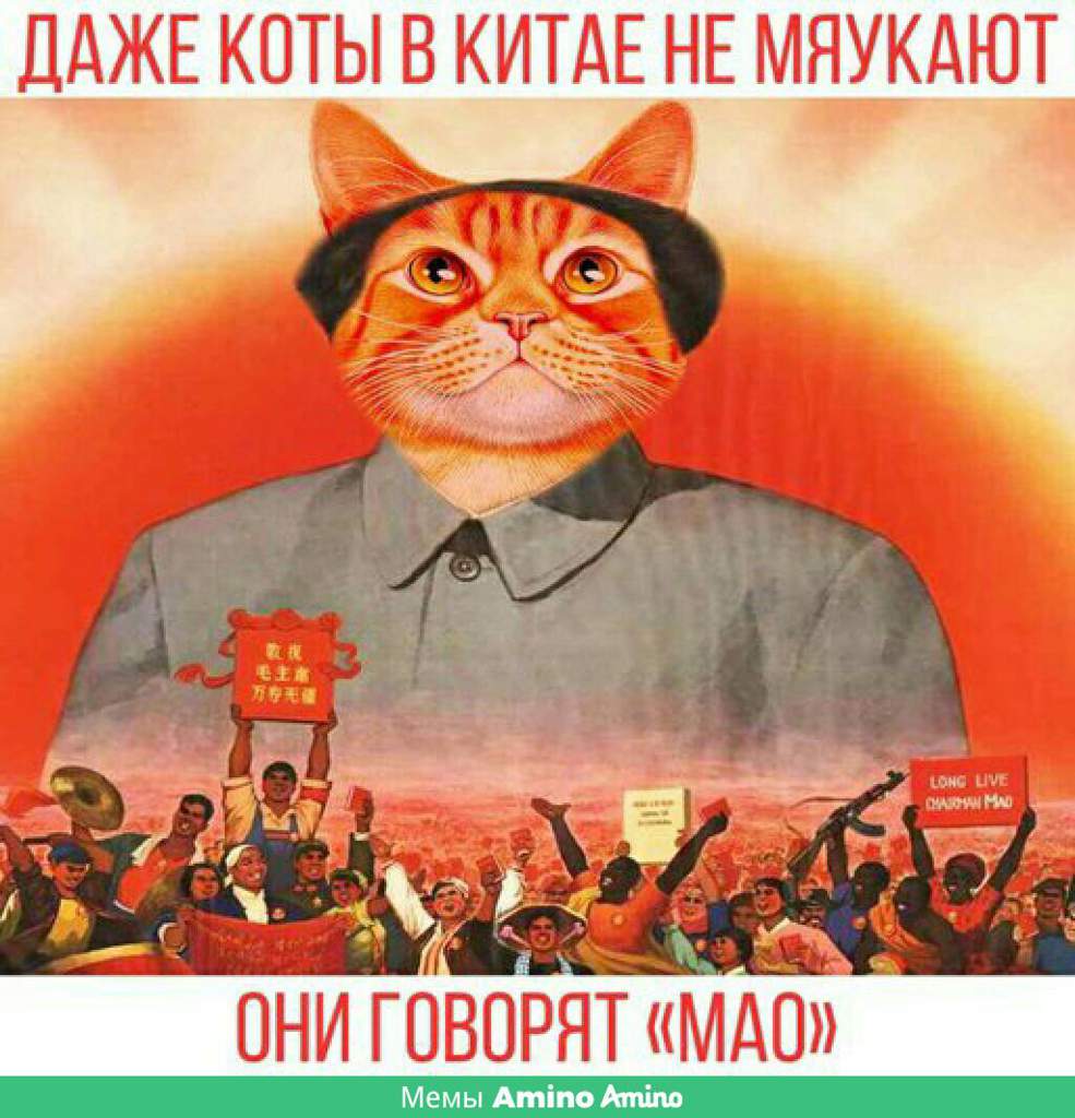 Коты коммунисты