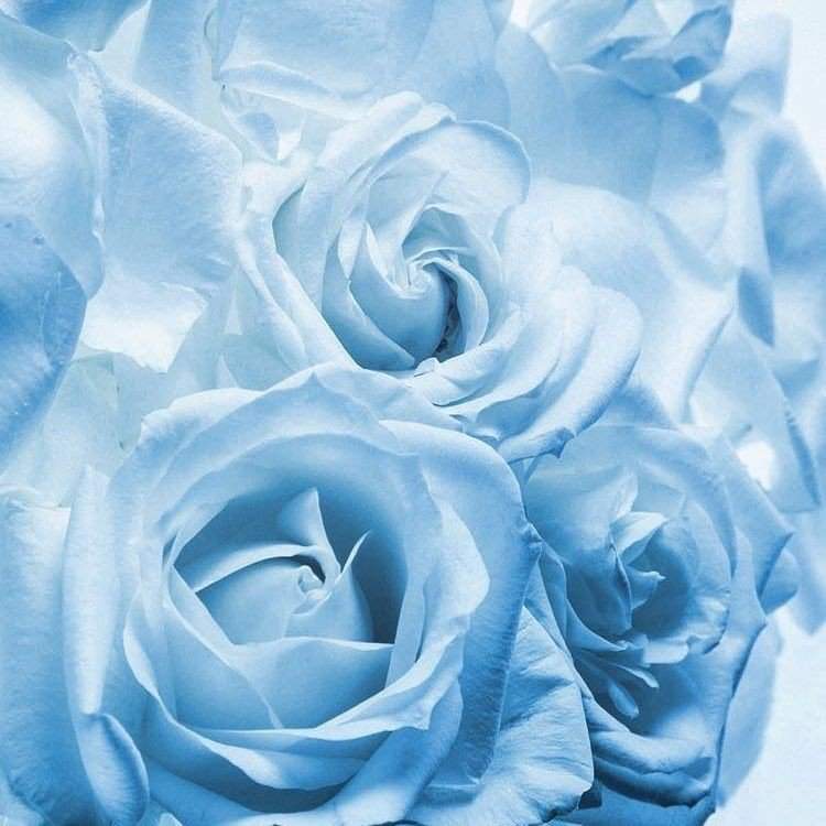 aesthetic azul | Wiki | ( 💦) Creatividad Amino Amino