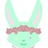 amino-Pascal the Rabbit@gone-9256c1fa