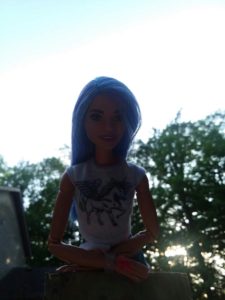 addison barbie