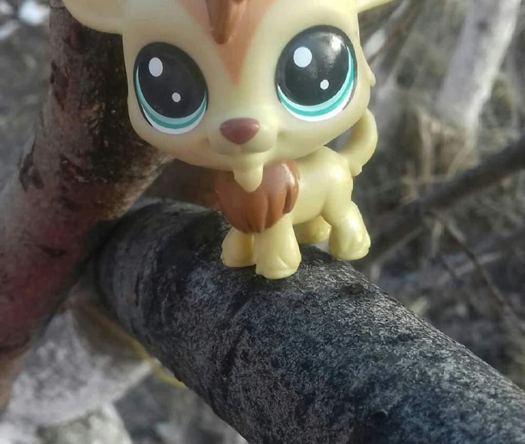 Lps - фотки | Lps Элита Amino
