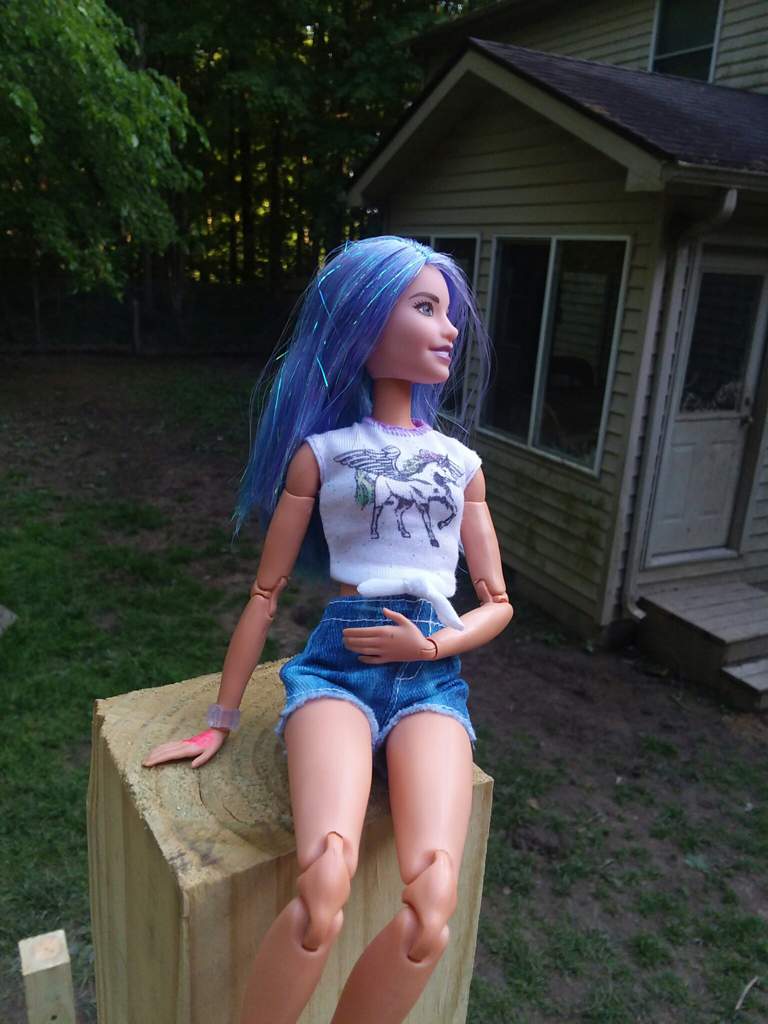 addison barbie