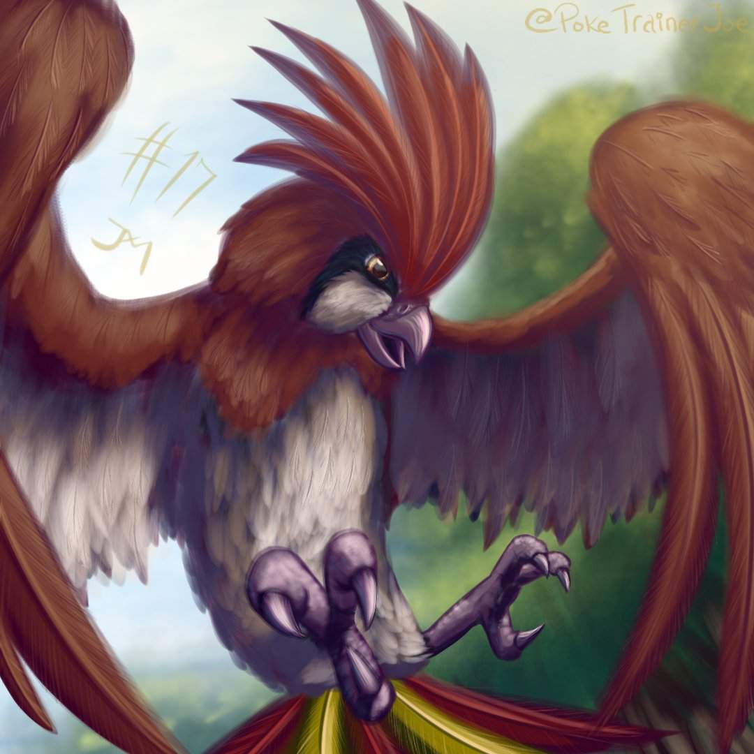 I drew Pidgeotto | Pokémon Amino