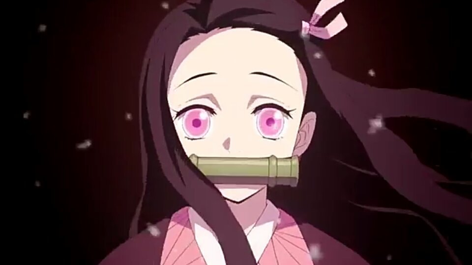 🍃>•Nezuko é muito Kawaii!☔•