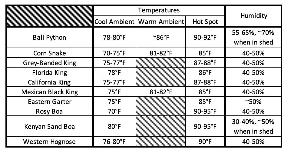 Diagnosing Snake Husbandry Wiki Reptiles Amino