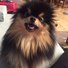 amino-Yeontan’s Mother-c828ebad