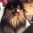 amino-Yeontan’s Mother-33c27f26