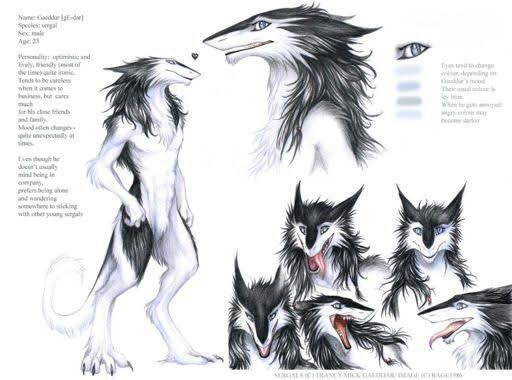 Sergal | Wiki | Furrys World.- Amino