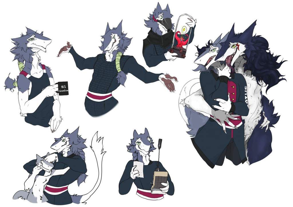 Sergal | Wiki | Furrys World.- Amino