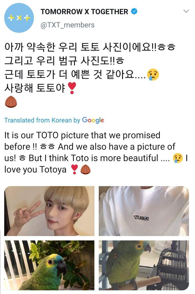 Beomgyu Twitter Toto Is Very Pretty Txt 투모로우바이투게더 Amino