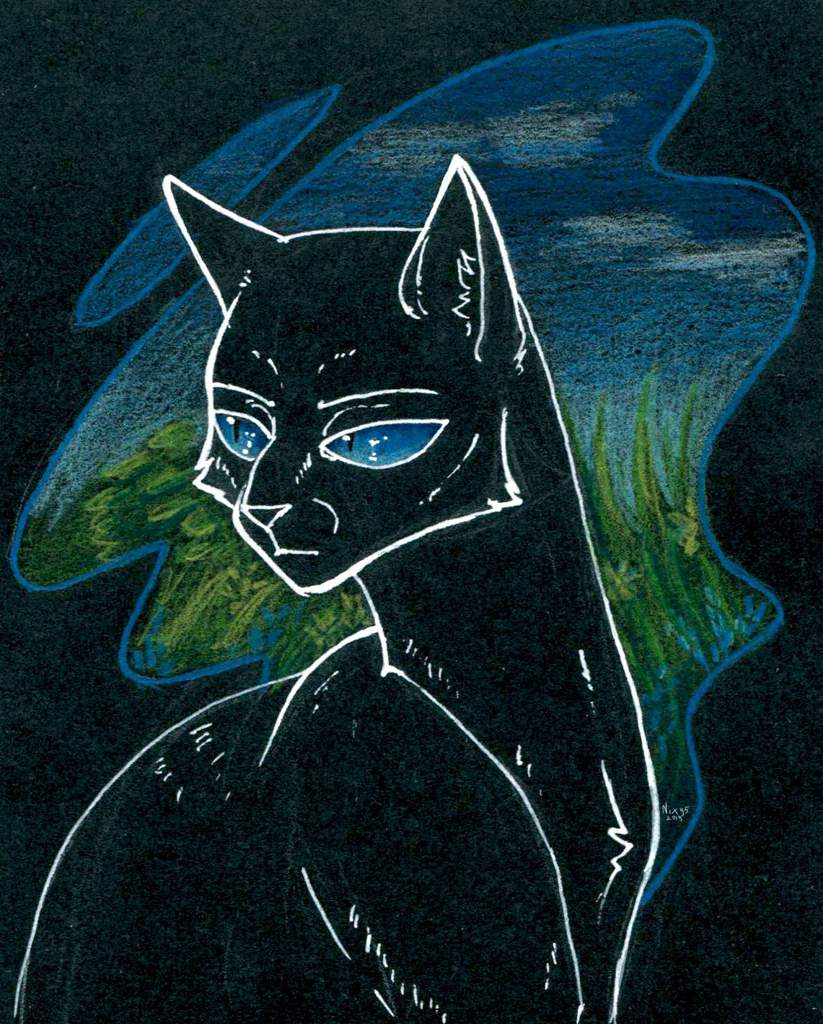 Коты воители рисунки для скетчбука