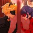 amino-chat noir-916211b2