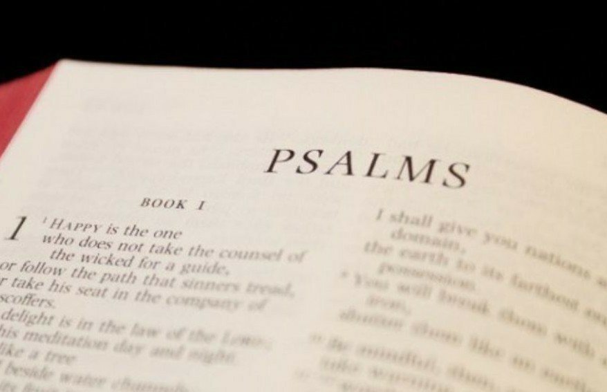 NIV Bible: Psalm 119 | Wiki | Christian (Genesis) Amino