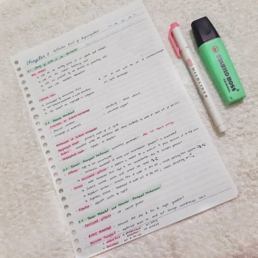 AnaPhy Notes| Chapter 2 | Studying Amino Amino