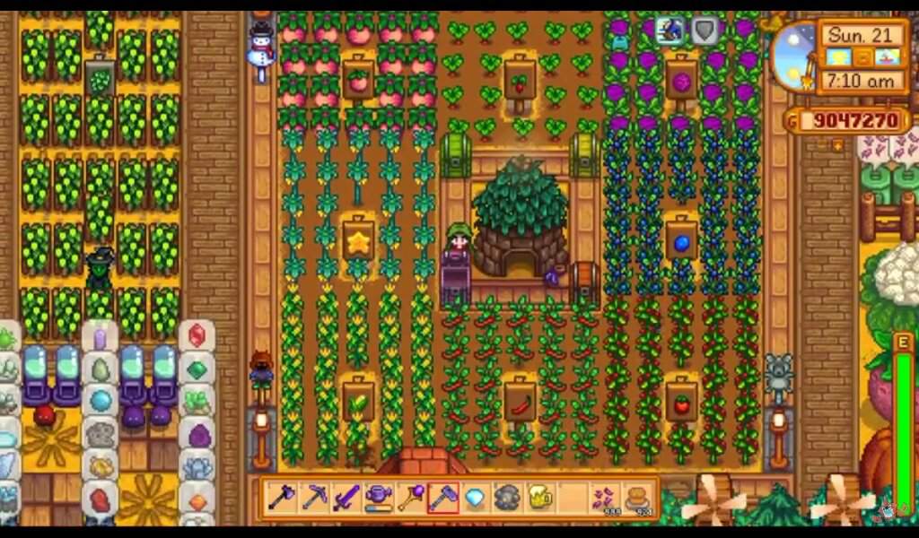 Рассада травы stardew valley