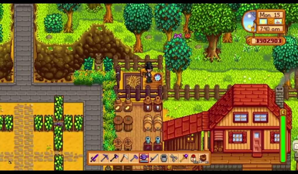 Stardew valley дизайн дома