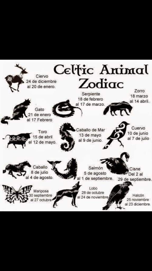 Espiritu animal | ????Signos Zodiacales???? Amino