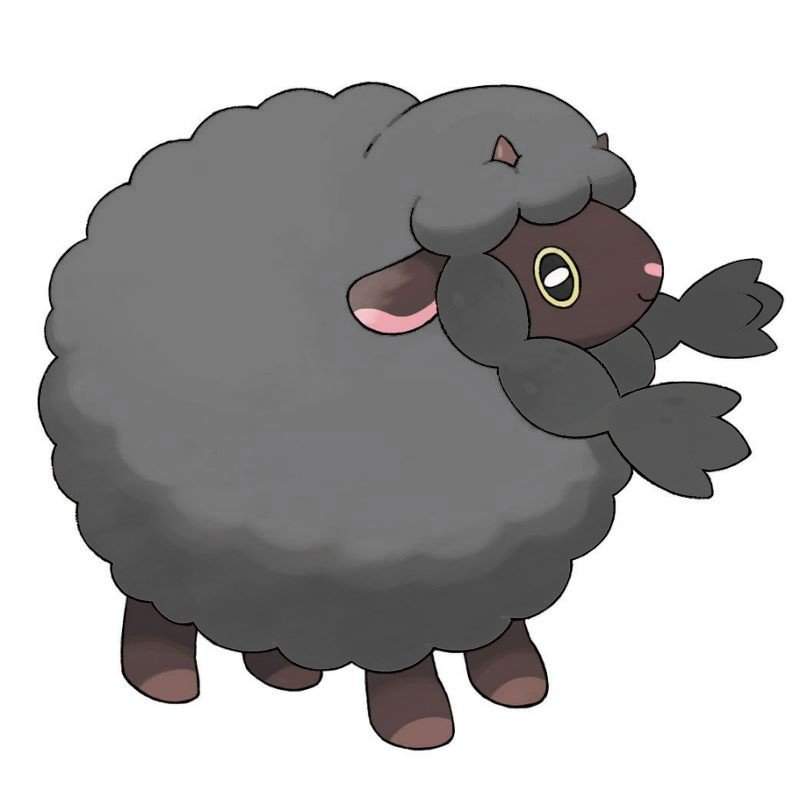 wooloo teddy