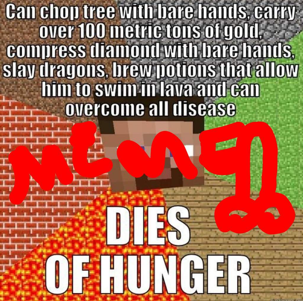 what is being done to stop world hunger